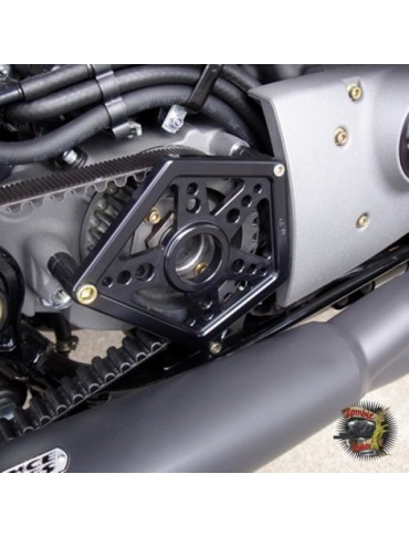 Cache visserie compétition moteur, Harley-Davidson Sportster
